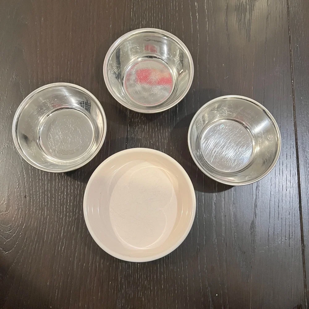 Lot of 4 Cat Feeding & Water Bowls Stainless and Rae Dunn *EUC* MSRP: $49+tax